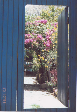 Blue-door of Peru
